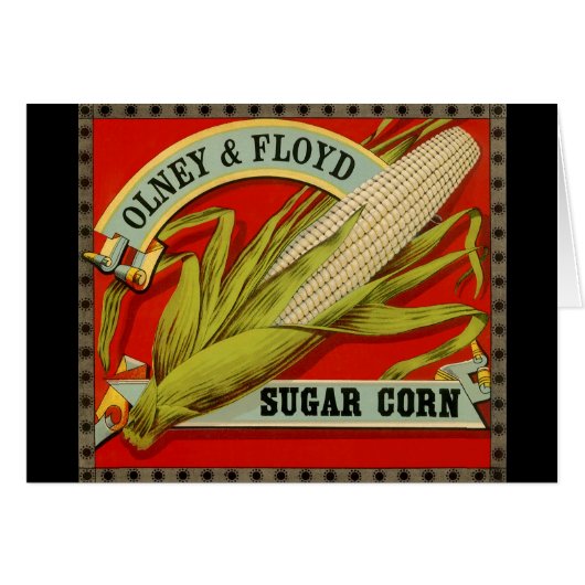 vegetabel, Olney & Floyd Sugar Corn (Voorkant Horizontaal)