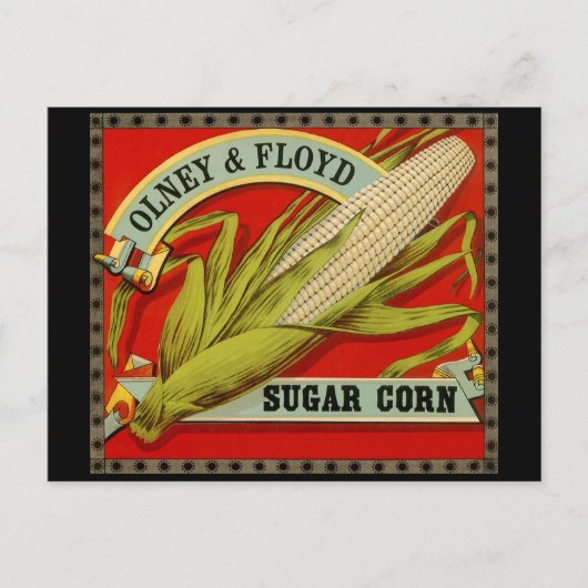  vegetabel, Olney & Floyd Sugar Corn Briefkaart (Voorkant)