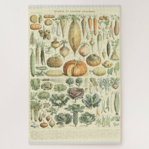 Vegetabelidentificatieoverzicht Legpuzzel