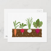 Vegetable Garden Briefkaart (Voorkant / Achterkant)