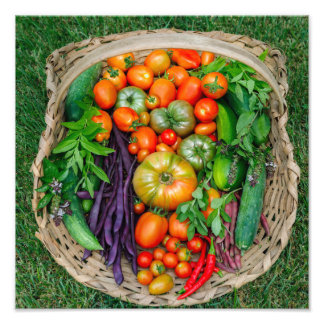 Vegetable Harvest Basket Foto Afdruk
