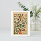 Vegetables Franse boekpagina Briefkaart (Staand voorkant)