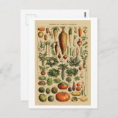 Vegetables Franse boekpagina Briefkaart (Voorkant / Achterkant)