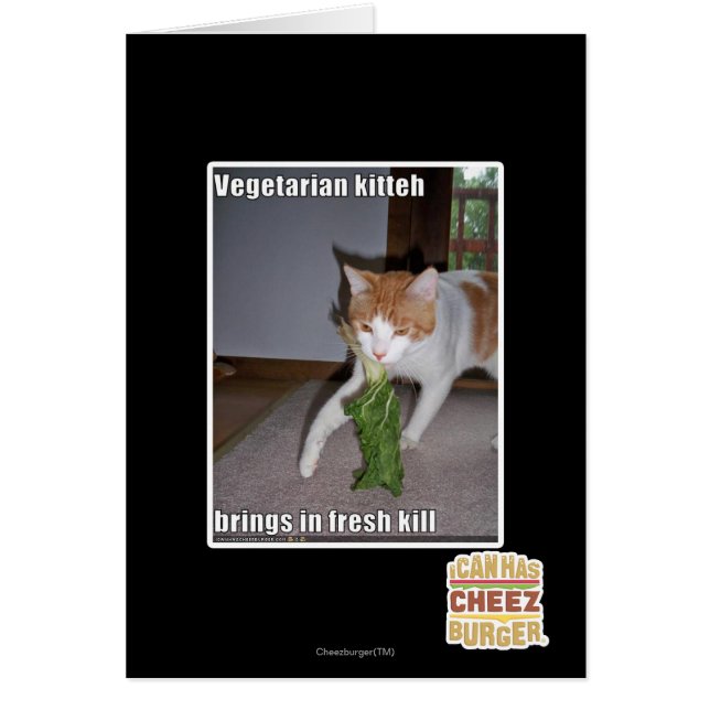 Vegetarian Kitteh (Voorkant)