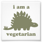 Vegetarian Stegosaurus Dinosaur - Green Foto Afdruk (Voorkant)