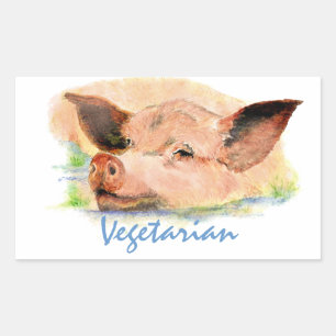 Vegetarisch met Schattigee Waterverf Varken Rechthoekige Sticker