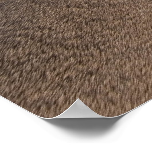 Vegetarisch Poster (Hoek)