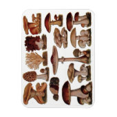 Vegetarische hipster steampunk  paddenstoel magneet (Verticaal)