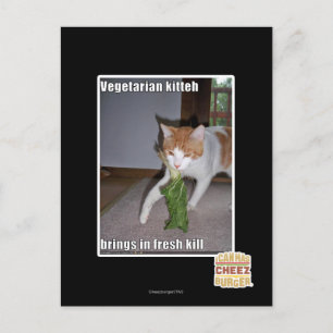 Vegetarische keuken briefkaart