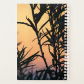 Végétation au coucher du soleil (Dos)
