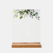Végétation, Feuilles d'eucalyptus, Numéros de tabl (Recto)