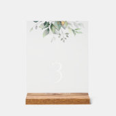 Végétation, feuilles d'eucalyptus, numéros de tabl (Recto)