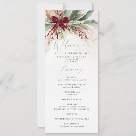 Végétation hivernale Noël Bow rouge Programme de m (Devant)