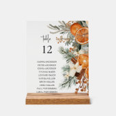 Végétation hivernale Tableau de bord Panneau supér (Recto)