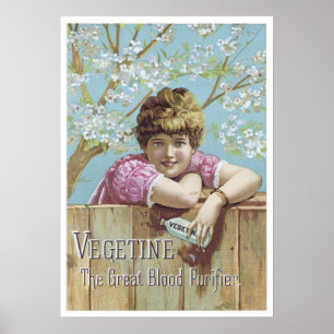 Vegetine-bloedzuiverheid Poster