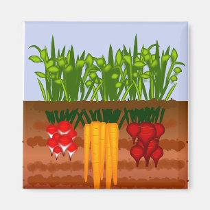Veggie Garden Magneet