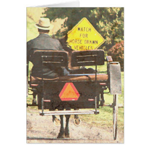 Véhicules tractés à cheval, Cheval Amish et Buggy