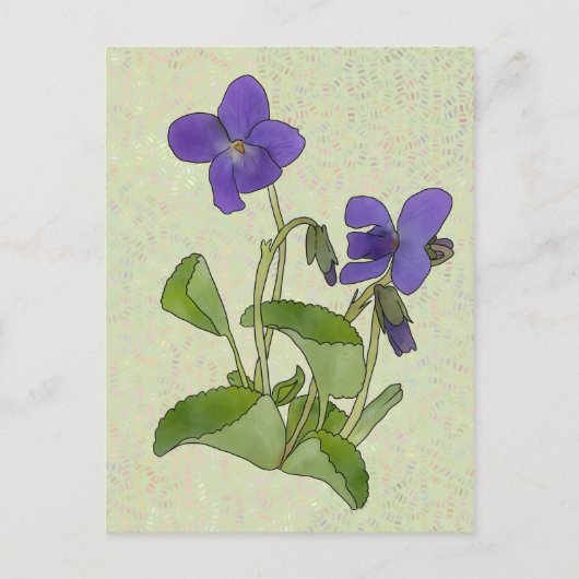 Veilchen Briefkaart (Voorkant)