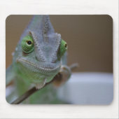 Veiled Chameleon Muismat (Voorkant)