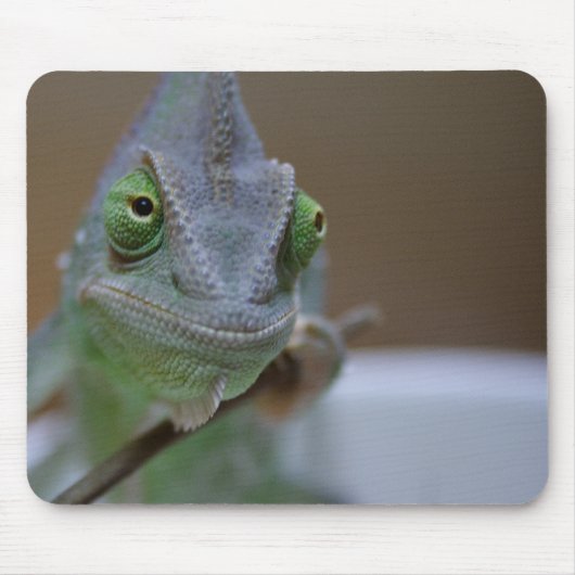 Veiled Chameleon Muismat (Voorkant)