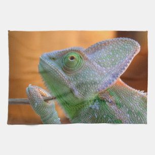 Veiled Chameleon Theedoek