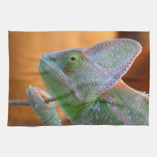 Veiled Chameleon Theedoek (Horizontaal)