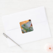 Veiled Chameleon Vierkante Sticker (Envelop)