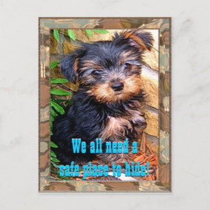 Veilig Briefkaart plaatsen