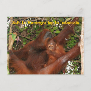 Veilig in mama's Lap Briefkaart