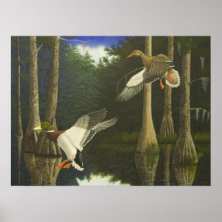 Veilig startpunt poster