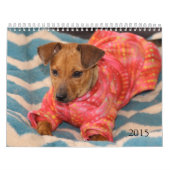 Veilige handen 2015 Agenda Kalender (Hoes)