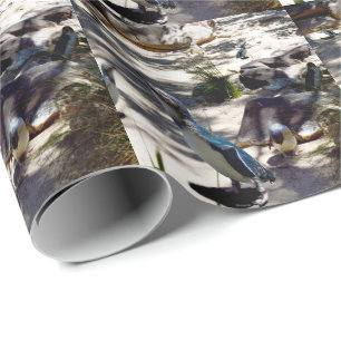 Veilige Haven: Fairy Penguin Paradise, Cadeaupapier