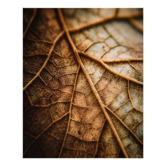 Veins of Autumn Perfect Poster