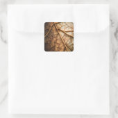 Veins of Autumn Vierkante Sticker (Tas)