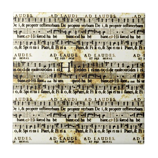  vel muziek tegeltje (Voorkant)