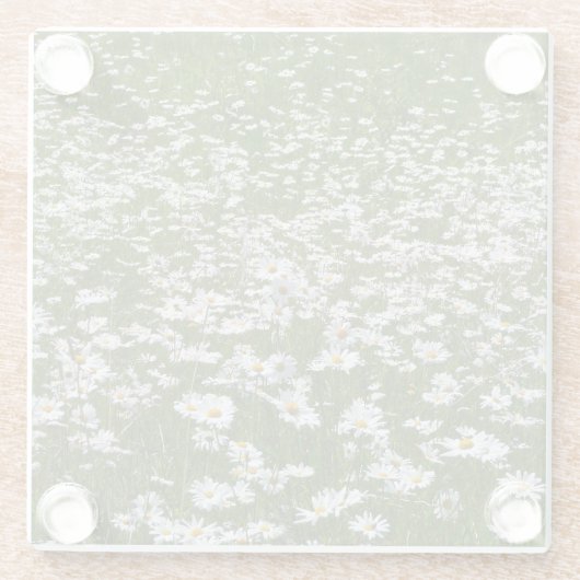 Veld Daisies Alaskan Wildflower Glazen Onderzetter (Achterkant)