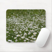 Veld Daisies Alaskan Wildflower Muismat (Met muis)