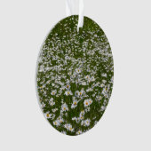 Veld Daisies Alaskan Wildflower Ornament (voorkant)