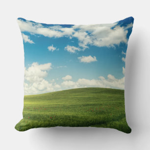 Veld Gras Natuur Kussen