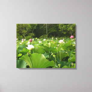 Veld Lotus Flowers Summer Garden Canvas Afdruk