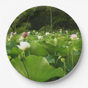 Veld Lotus Flowers Summer Garden Papieren Bordje