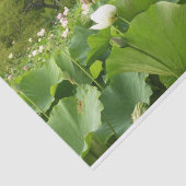 Veld Lotus Flowers Summer Garden Tissuepapier (Detail)