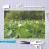 Veld Lotus Flowers Summer Garden Tissuepapier (Craft)