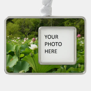 Veld Lotus Flowers Summer Garden Verzilverd Kader Ornament