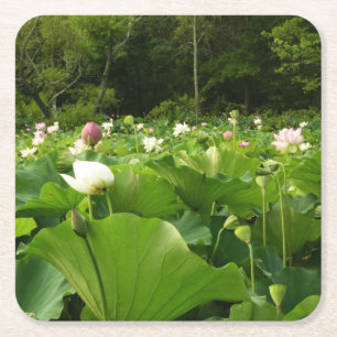 Veld Lotus Flowers Summer Garden Vierkante Kartonnen Onderzetter