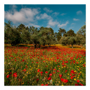 Veld met bloemen en bomen perfect poster