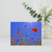 Veld met klaprozen en blauwe korenbloemen briefkaart (Staand voorkant)