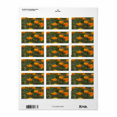 Veld met klaprozen etiket (Full Sheet)