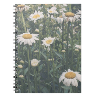 Veld met Madeliefjes Bloemrijke Spiraal Notebook Notitieboek