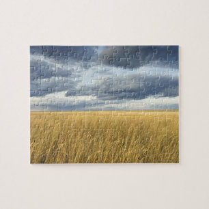 Veld met stormen wolken legpuzzel
